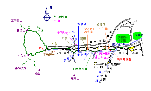 多摩のジョギング道－裏高尾から小仏峠・景信山を巡る道